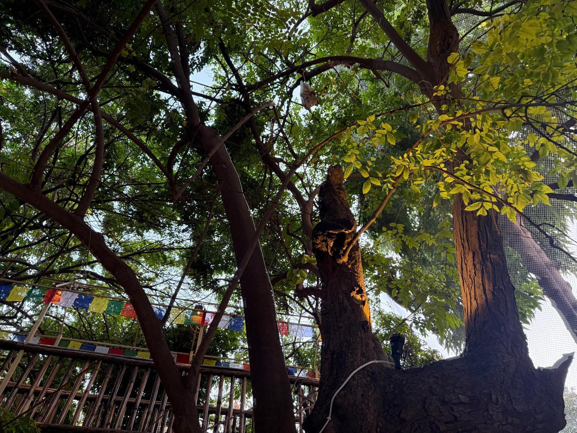 Hotel Green Heaven Resort Pushkar Exterior photo