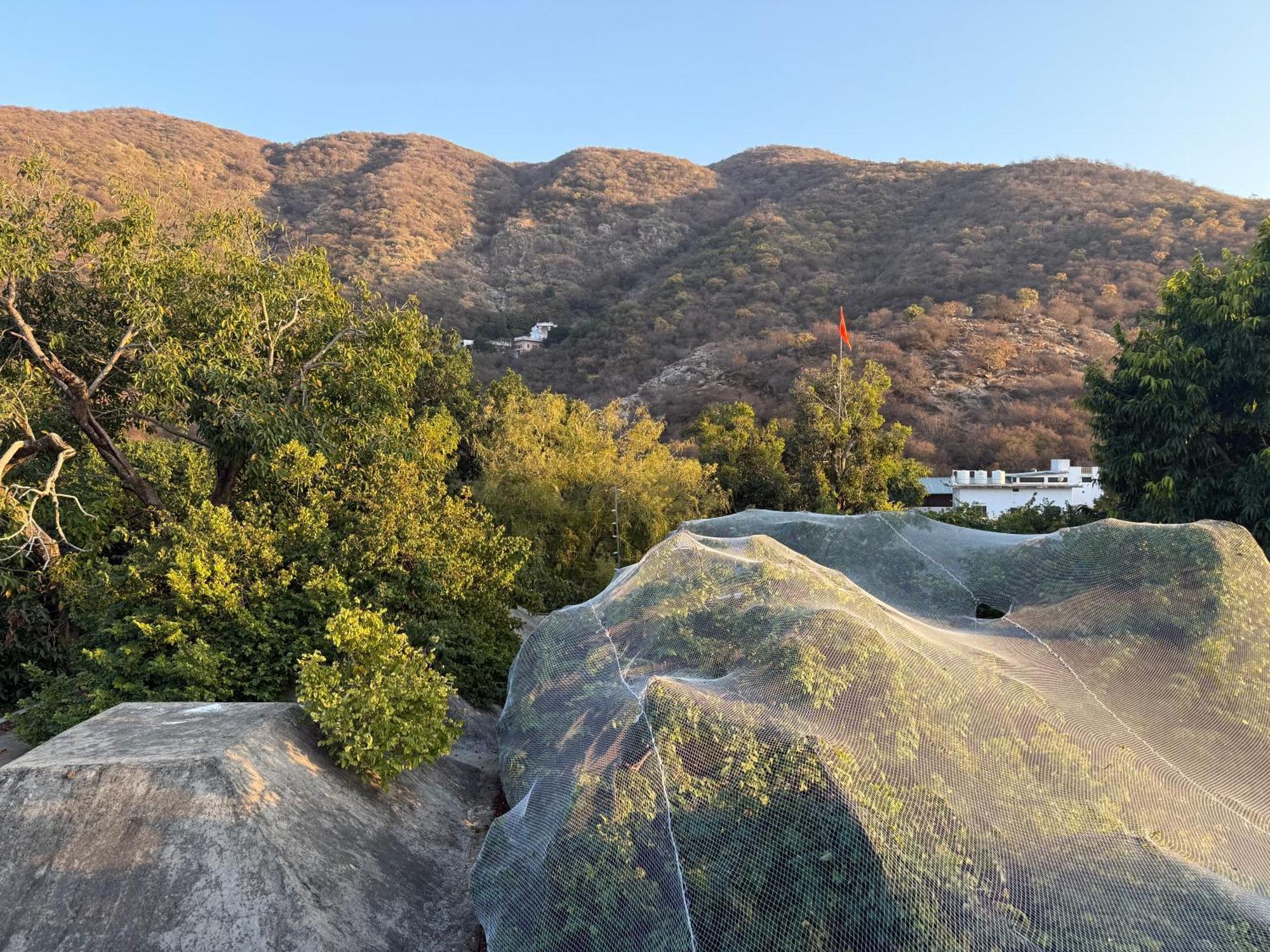 Hotel Green Heaven Resort Pushkar Exterior photo