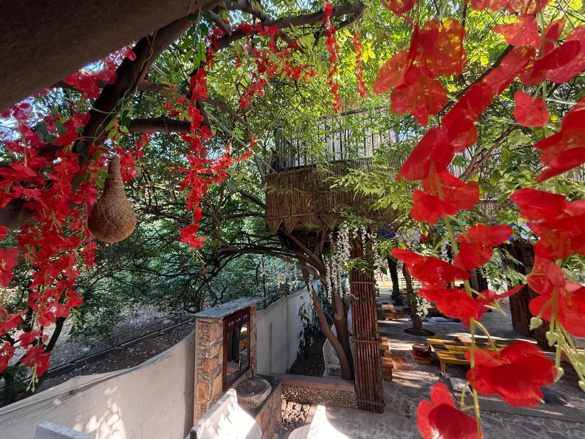 Hotel Green Heaven Resort Pushkar Exterior photo